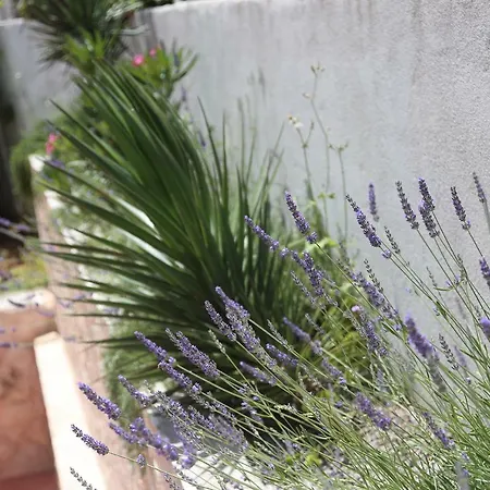 Affittacamere Tanya-apartments And 3*