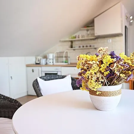 Tanya-apartments And