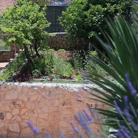 Guest house Tanya-apartments And Hvar Town