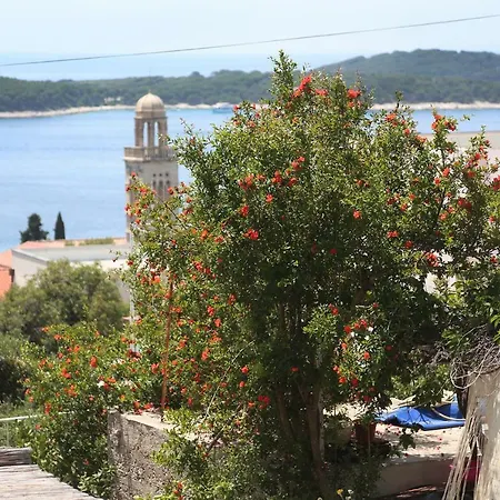 Tanya-apartments And